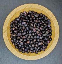 Whole Juniper Berries Displayed in wooden bowl